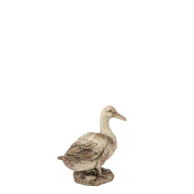 J-Line Duck Outdoor Magnesium Ecru/Beige