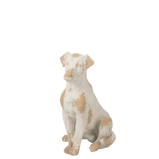 J-Line Hondenoutfit van magnesium in ecru/beige