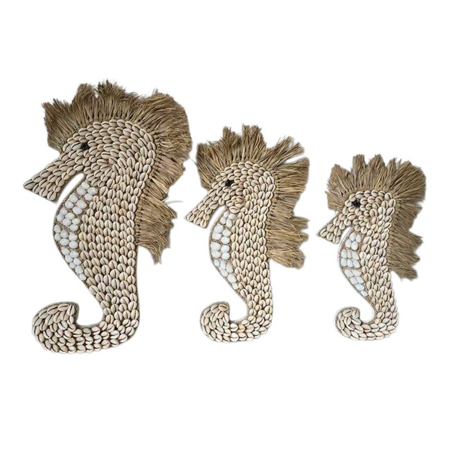 Bali-Dreams Wanddecoratie schelpen zeepaardje 40 x 28 x 1cm