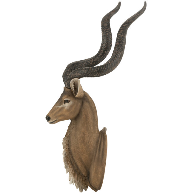 J-Line Antilopekop Polybruin