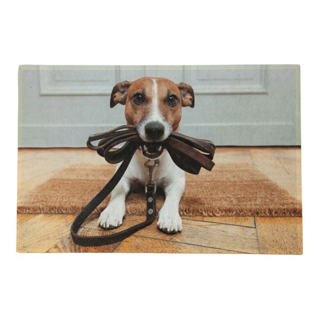 Mars & More deurmat humor jack russell 75x50cm