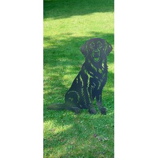 Flatcoat retriever - Levensecht