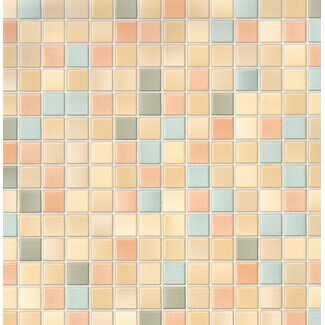 2Lif Pienza Zelfklevende Folie Mini rol multi 45cmx2mtr