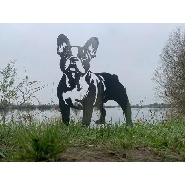 Franse Bulldog - Levensecht
