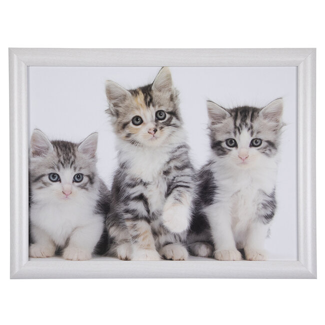 Mars & More Schoottafel schootkussen- katten -kittens - poezen print - 43 x 33 cm