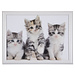 Mars & More Schoottafel schootkussen- katten -kittens - poezen print - 43 x 33 cm