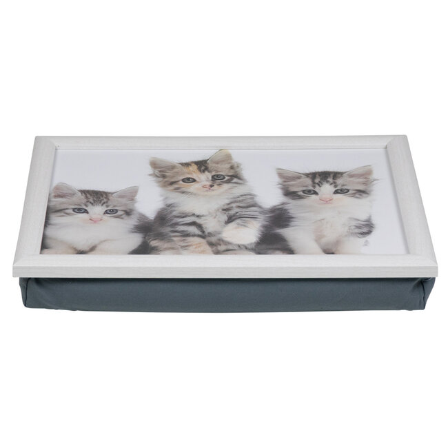Mars & More Schoottafel schootkussen- katten -kittens - poezen print - 43 x 33 cm