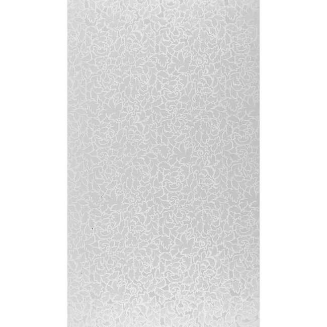 2Lif Toulon Statische raamfolie Mini rol transparant 67,5cmx2mtr
