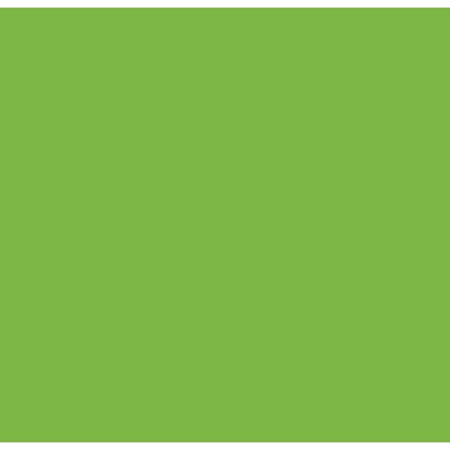 2Lif Fluor Zelfklevende Folie Mini rol groen 45cmx1,5mtr