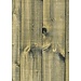 2Lif Old Hout Zelfklevende Folie Mini rol multi 45cmx2mtr