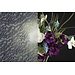 2Lif Ice Bloem bestfix Zelfklevende Folie Mini rol transparant 45cmx2mtr
