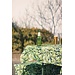 2Lif York Statafelhoes groen d90cmxh130cm