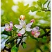 2Lif Julia Outdoor TextielPoster fotoprint 95x95cm