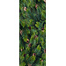 2Lif Banner Martin transparant 70 cm x 180 cm