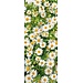 2Lif Banner Maggy 75 cm x 180 cm