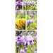 2Lif Banner Mia 75 cm x 180 cm