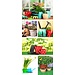 2Lif Banner Sylvia 75 cm x 180 cm