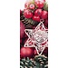 2Lif Banner Edinburgh Banner 75x180 cm