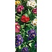 2Lif Banner Stephanie Banner 75x180 cm