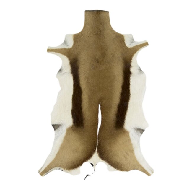 Mars & More vacht springbok 90cm (alleen EU)*
