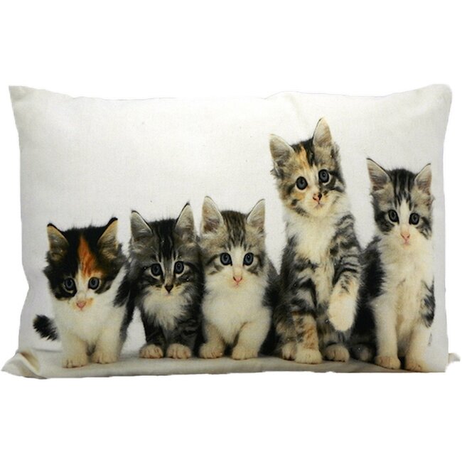 Mars & More canvas kussen kittens 35x50cm