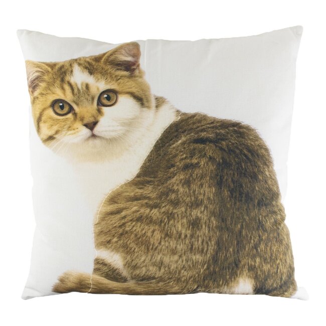 Mars & More *canvas kussen tabby wit 50x50cm*