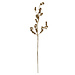 Mars & More siertak distel goud champagne 97cm*