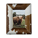 Mars & More fotolijst koe bol bruin/wit 18x13cm
