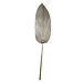 Mars & More palmblad gedroogd champagne 100cm*