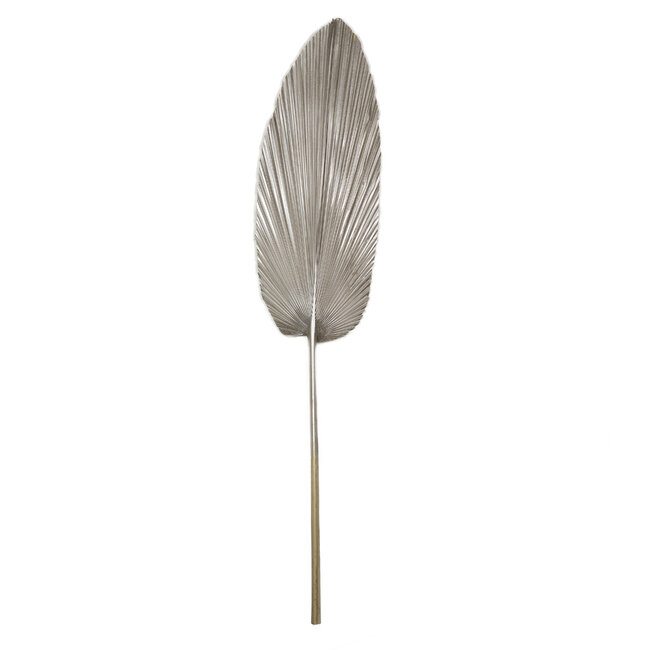 Mars & More palmblad gedroogd champagne 100cm*