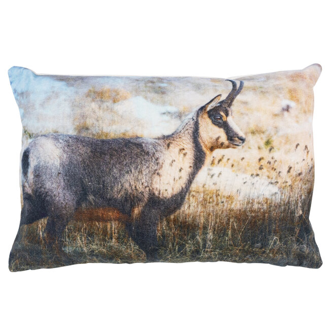 Mars & More groot kussen fluweel gems 40x60cm*