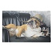Mars & More deurmat humor engelse bulldog 75x50cm