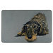 Mars & More deurmat humor ruwharige teckel bril 75x50cm