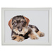 Mars & More schootkussen teckel liggend 43cm
