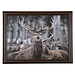 Mars & More schootkussen winter hert 43cm