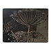 Mars & More placemat berenklauw donker 30x40cm (4)