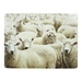 Mars & More placemat schapen 30x40cm (4)