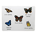 Mars & More *placemat vlinders 30x40cm (4)*