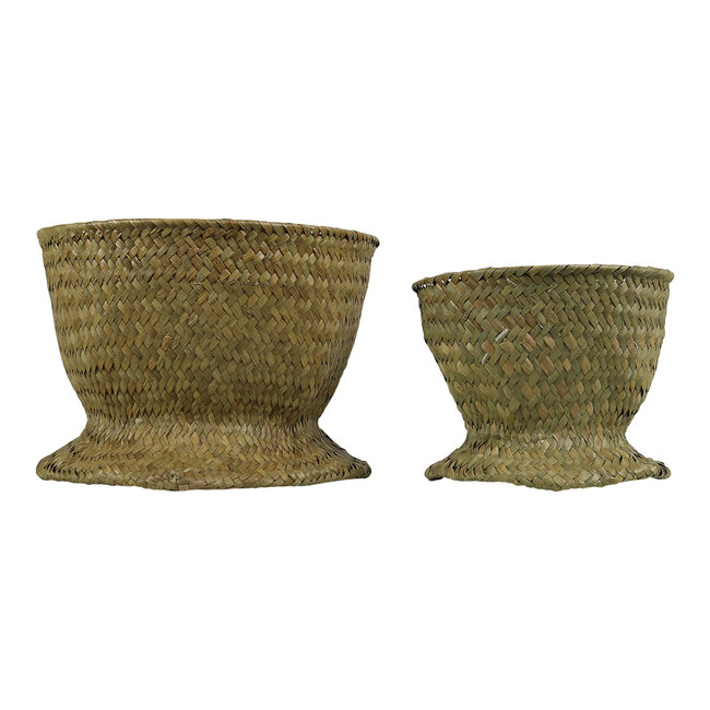 Mars & More *zeegras bloempot coupe (set of 2)*