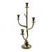 Mars & More Kaarsen Standaard gewei goud 4 h58cm