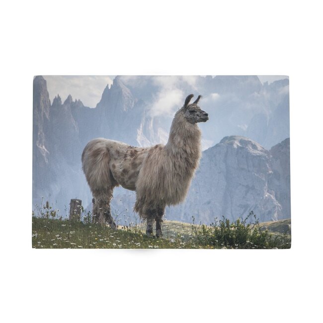 Mars & More Deurmat Alpaca bergen 75x50cm