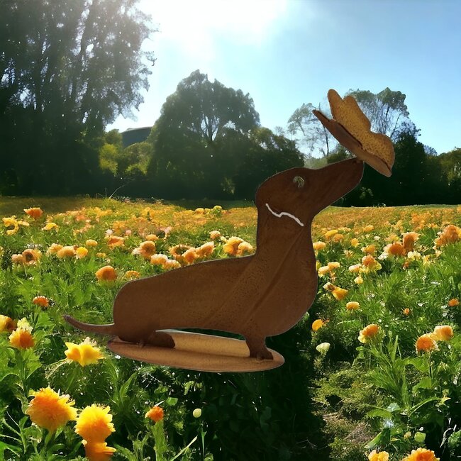 Dream-Garden Tuinbeeld Bumper kortharige teckel met vlinder