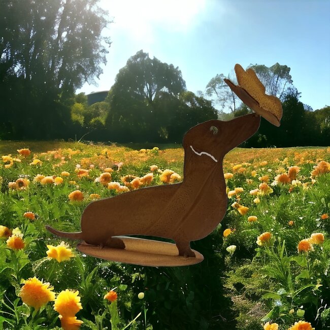 Dream-Garden Tuinbeeld Bumper kortharige teckel met vlinder