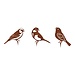Dream-Garden Tuindecoratie Drie Vogels Roest – Mus, Vink en Koolmees van Metaal