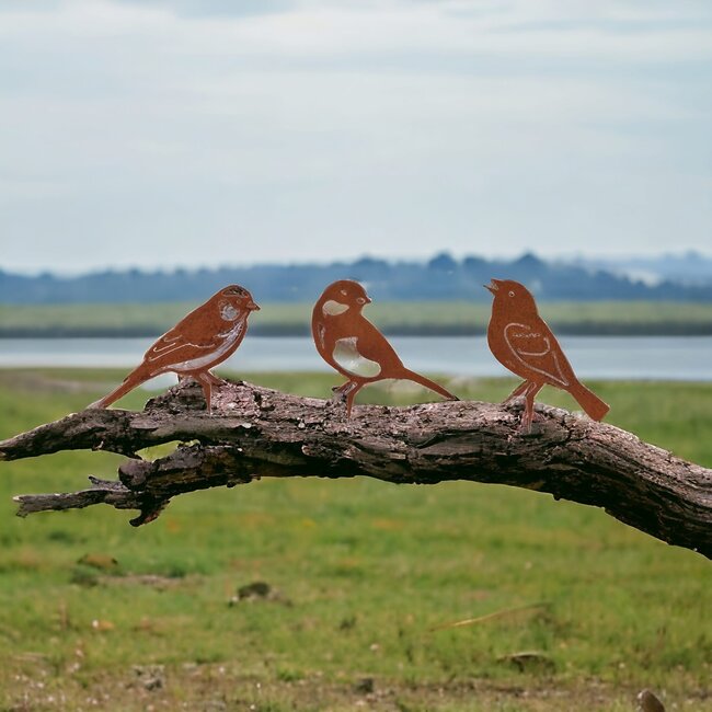Dream-Garden Tuindecoratie Drie Vogels Roest – Mus, Vink en Koolmees van Metaal