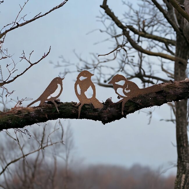 Dream-Garden Tuindecoratie Drie Vogels Roest – Koolmees, Roodborst en Pimpelmees van Metaal