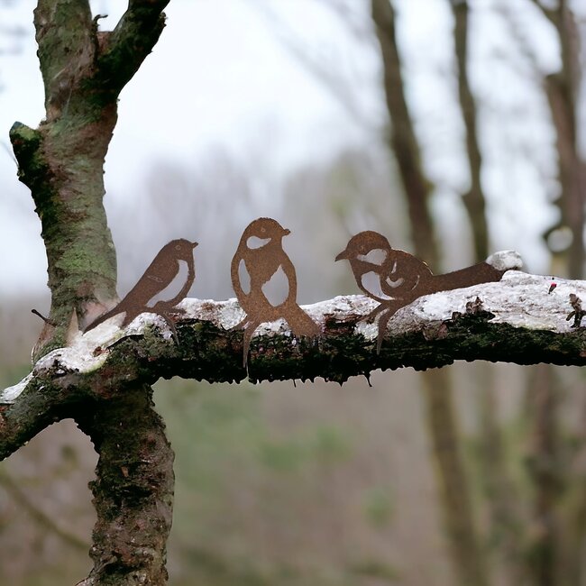 Dream-Garden Tuindecoratie Drie Vogels Roest – Koolmees, Roodborst en Pimpelmees van Metaal