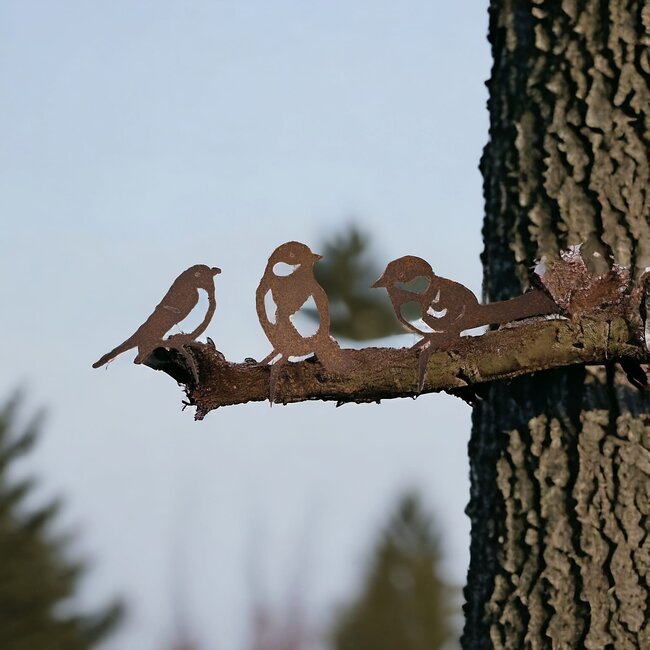 Dream-Garden Tuindecoratie Drie Vogels Roest – Koolmees, Roodborst en Pimpelmees van Metaal