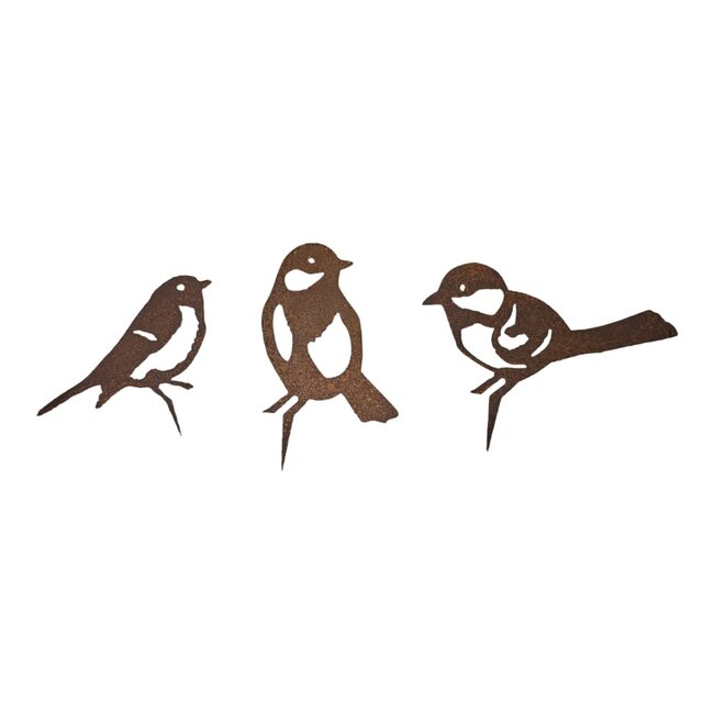 Dream-Garden Tuindecoratie Drie Vogels Roest – Koolmees, Roodborst en Pimpelmees van Metaal