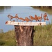 Dream-Garden Tuindecoratie Set van 7 Vogels Roest voor Boom en Schutting